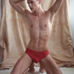 Sway Alton Shorts - Rusty Jasper New In