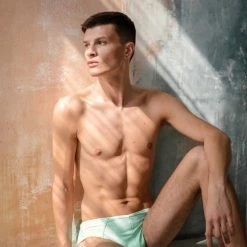 New In Sway Alton Shorts - Green Aventurine