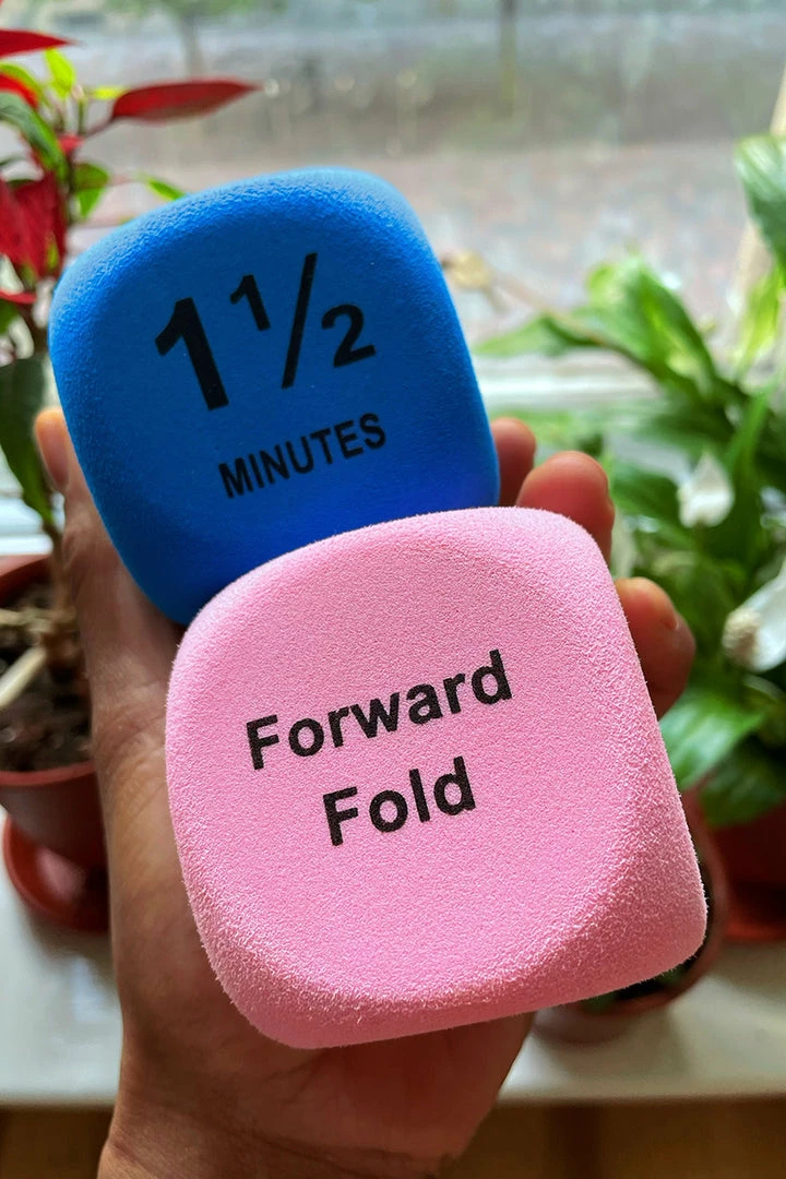 Enviro Grip The Enviro Co. Pole Dice - Flexibility Games