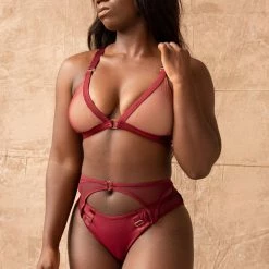 All Pole Wear Tatiana Activewear Kaizen Shorts - Burgundy