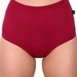 Cleo The Hurricane Essential High Waisted Shorts - Merlot All Pole Wear