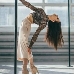 REV ACTIV Wild Leopard Long Sleeved Crop Top All Pole Wear