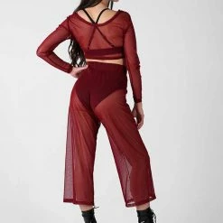 REV ACTIV Mesh Long Sleeved Crop Top - Burgundy