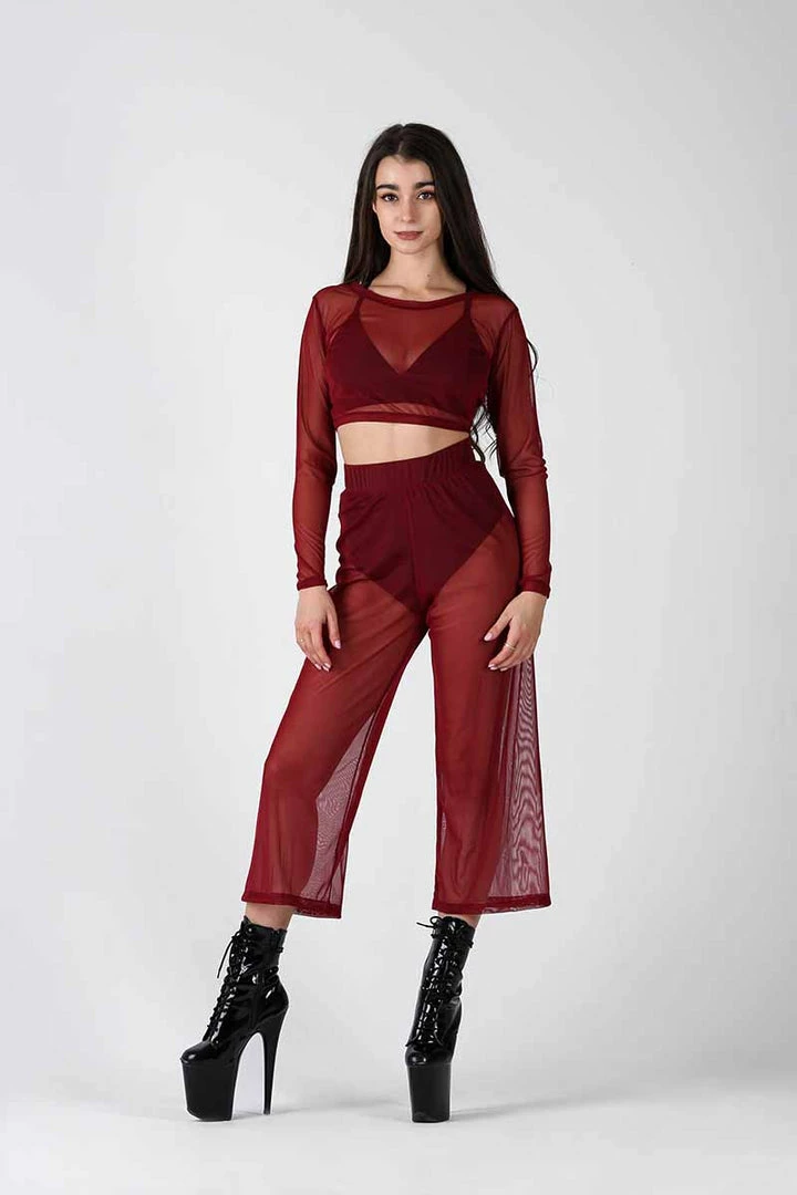 REV ACTIV Mesh Long Sleeved Crop Top - Burgundy