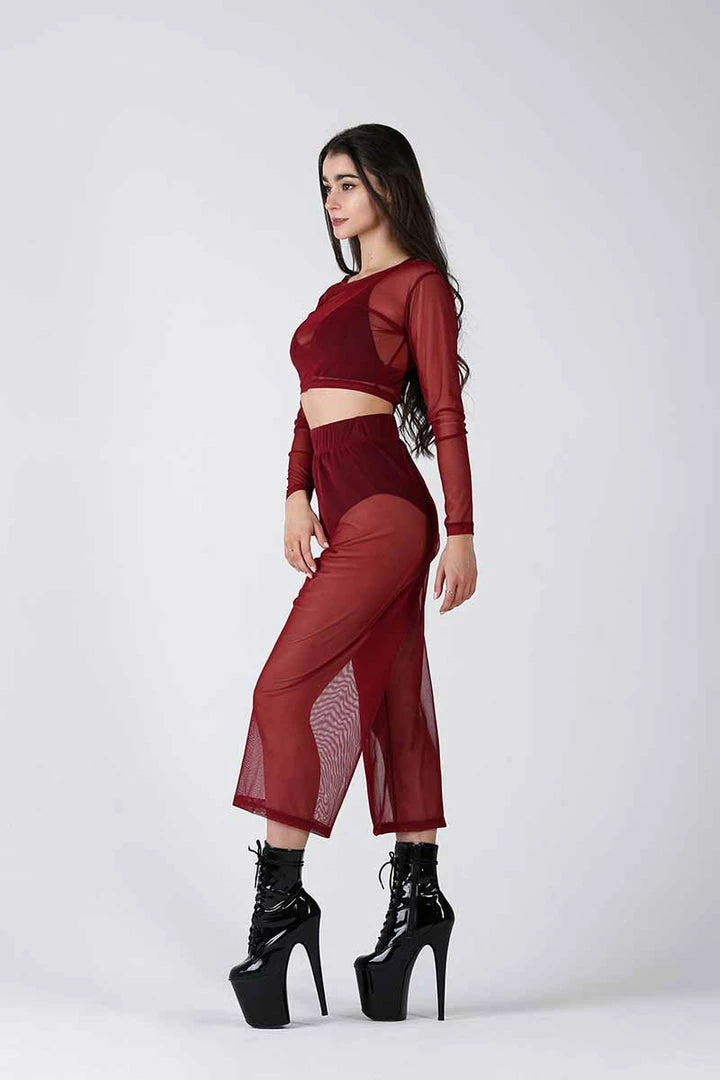 REV ACTIV Mesh Long Sleeved Crop Top - Burgundy